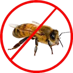 HoneyBee Control Service
